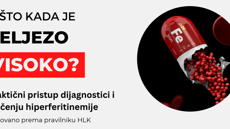 mrezni seminar